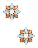 R.J. Graziano Floral Clip-On Earrings - BLUE