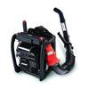 44 CC Backpack Power Blower