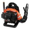 50.8 Backpack Power Blower With Hip Throttle