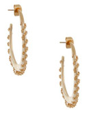 Rachel Zoe Stitches Oval Hoop Gold Plated Hoop Earring - GOLD