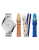 Fossil Limited Edition Cecile Multifunction Watch Set - MULTI