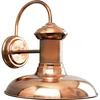 Brookside Collection Copper 1-light Wall Lantern