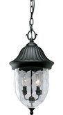 Coventry Collection Textured Black 2-light Hanging Lantern