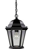 Welbourne Collection Textured Black 1-light Hanging Lantern