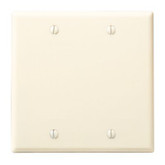 Dbl Blank Wall Plate - Ivory
