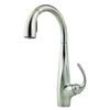 Avanti Stainless Steel Pull Down Kitchen Faucet