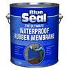 Blue Seal Waterproofing 3.78L