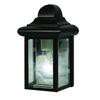 1 Light Outdoor Light Wall Mount with Clear Glass and a Black Finish