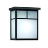 1 Light Outdoor Light with Frost Glass and a Black Finish