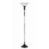 1 Light Torch Lamp Silver Finish Frost Glass Shade