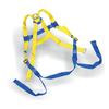 Full body adjustable harness