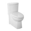 Dual Flush All-In-One One Piece 1.28 gal Elongated Toilet with Concealed Trapway