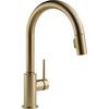 Trinsic Single-Handle Pull-Down Sprayer Kitchen Faucet in Champagne Bronze