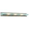 Contemporary Beauty 3 Light Bath Light with Acid Frost Glass and Satin Nickel Finish