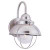1 Light Brushed Stainless Incandescent Outdoor Wall Lantern