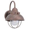 1 Light Weathered Copper Incandescent Outdoor Wall Lantern
