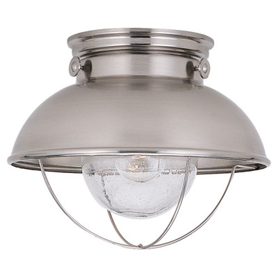 1 Light Brushed Stainless Incandescent Outdoor Ceiling Fixture