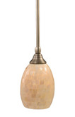 Concord 1 Light Ceiling Brushed Nickel Incandescent Pendant with a Seashell Glass