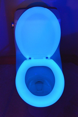 200 Blue Round Glow in the Dark Toilet Seat