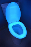 600 Blue Elongated Glow in the Dark Toilet Seat