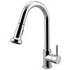 Chrome Pull-Out Spray Kitchen Faucet