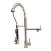 Stainless Steel Pull-Down Spray Kitchen Faucet