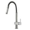 Stainless Steel Pull-Out Kitchen Faucet