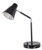 LED Desk Lamp with 1000mA USB Charger