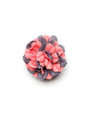 Hook + Albert Lapel Flower - Coral
