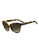 Chloé Caspia Butterfly Sunglasses - Vintage Tortoise