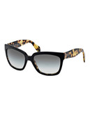 Prada Classic Square Sunglasses - Top Black/Medium Havana