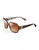 Diane Von Furstenberg Anna Square Plastic Sunglasses - Brown