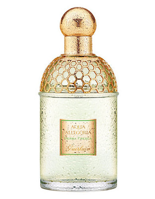 Guerlain Aqua Allegoria Herba Fresca Eau De Toilette  Spray - No Colour - 75 ml
