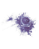 Lise Watier Couleur Folle - White