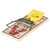 Easy Set Mouse Trap 2 pack