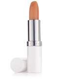 Elizabeth Arden Lip Protectant Stick Spf 15 - No Colour