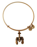 Alex And Ani Lobster Charm Bangle - Gold