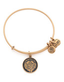 Alex And Ani Places We Love Gold Plated No Stone Bangle - Gold