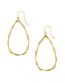 Nadri Gold Small Organic Teardrop with Stone Earrings - Gold