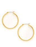 Lauren Ralph Lauren Tube Hoop Earrings - Gold