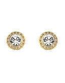 Swarovski Angelic Pierced Earrings Goldplated - Gold