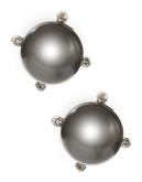 Lauren Ralph Lauren Framed Pearl Stud Earrings - Black
