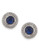 Carolee The Elyse Royal Blue Round Button Pierced Earrings Silver Tone Crystal Stud Earring - Blue