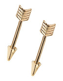Expression Arrow Stud Earrings - Gold
