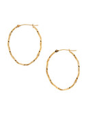 Fine Jewellery 14Kt Yellow Gold 1.9x25x32mm Polished Oval Shaped Hollow Twisted Tube Hoops - Yellow Gold