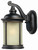Outdoor Wall Lantern, Oil Rubbed Bronze Finish With Highlight