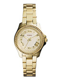 Fossil Womens Cecile Petite 3hand Watch AM4577 - Gold