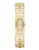 Dkny DKNY Astoria Gold Watch - Gold