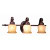 Vanity Fixture
