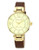 Anne Klein Gold Tone Large Brown Strap Watch - Brown